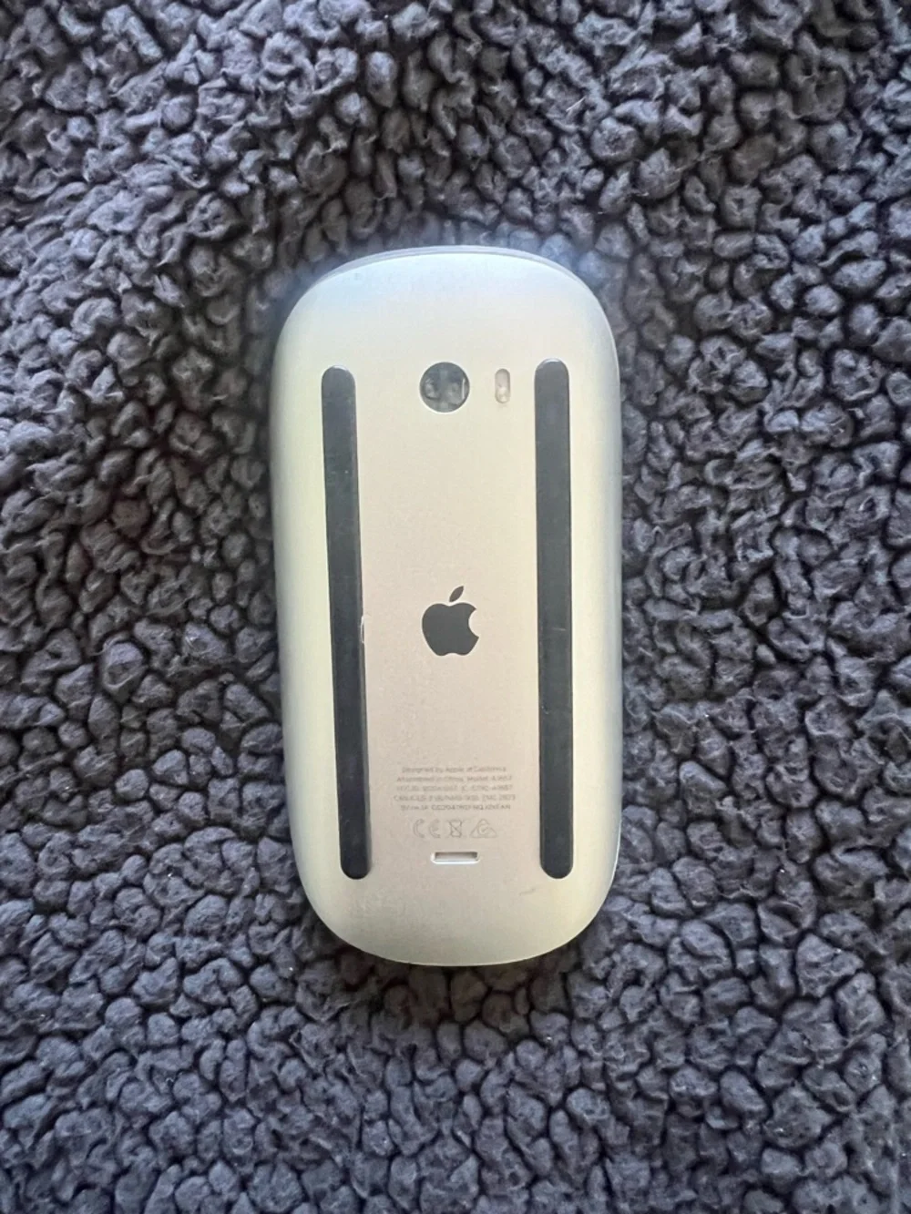 Apple Wireless Mouse in Silver and Black